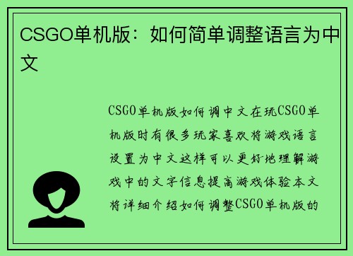 CSGO单机版：如何简单调整语言为中文